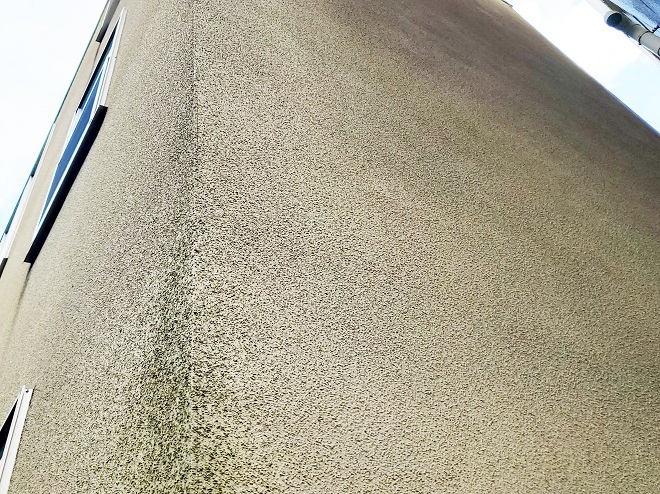 品川区荏原で苔や汚れの目立つモルタル壁を点検、塗装でキレイになる？