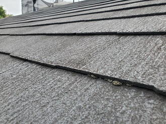 品川区二葉で黒い汚れが気になるスレート屋根を塗装のため無料点検