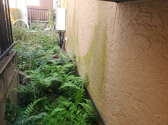 品川区小山で緑の藻による汚れが目立つ外壁の塗装メンテナンス相談