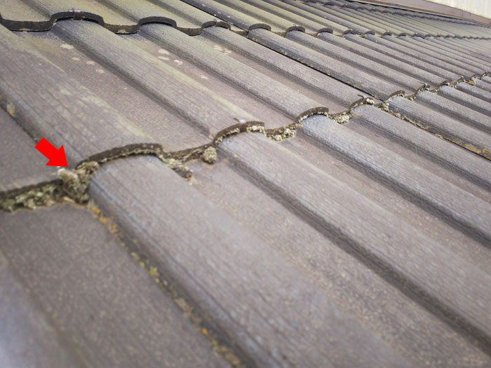 小金井市緑町で屋根塗装前の調査から苔の発生や雨樋止め金具のサビなどを確認しました