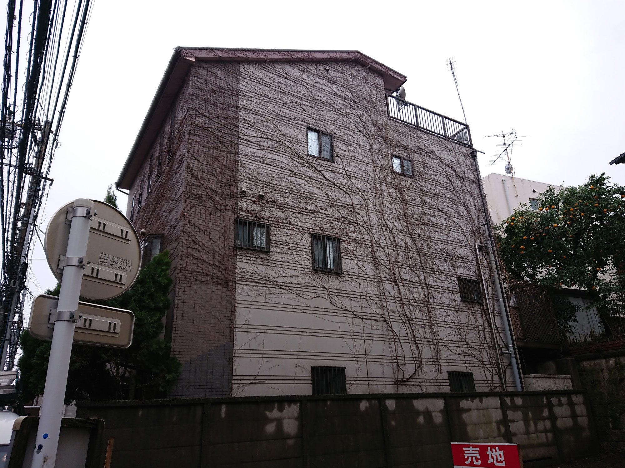 大田区北千束にてツタの群生する外壁のツタの撤去と塗装工事のご提案