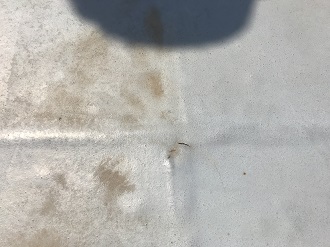 品川区二葉で剥がれた屋上・階段防水面にトップコート塗り替え