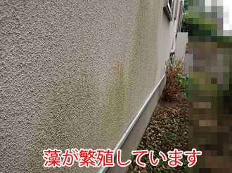 横浜市青葉区若草台で汚れや藻が発生したジョリパッド仕上げのモルタル外壁を調査。モルタル外壁はなぜ汚れやすい？