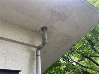 富津市小久保で外壁の劣化を調査してもらいたい