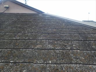 君津市外箕輪で苔や汚れが著しく堆積した屋根への塗装工事のご提案