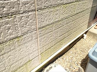 木更津市羽鳥野の外壁塗装調査、チョーキングや苔の発生
