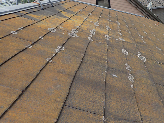 品川区二葉で築15年、苔が生えたスレート屋根塗装のため点検