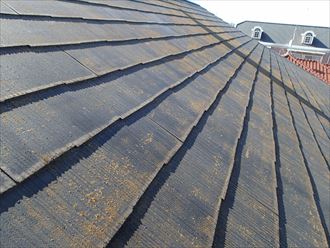 市原市潤井戸に化粧スレート屋根調査、ラジカル塗料を使用した屋根塗装工事のご提案