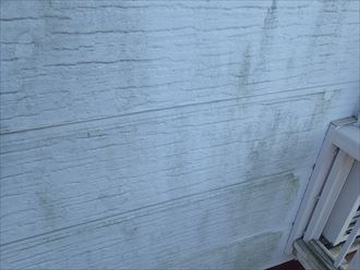 袖ケ浦市蔵波台の苔の繁殖を抑えるナノコンポジットwを使用しての外壁塗装工事のご提案