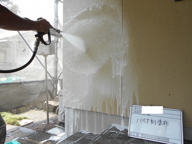 外壁バイオ高圧洗浄