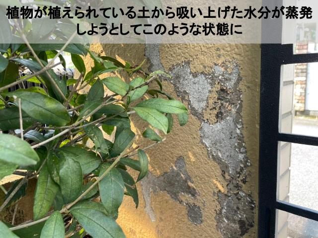熊本市東区塗膜剥がれ水分原因