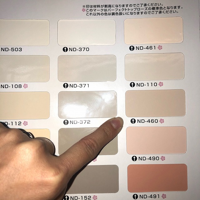 日本ペイント　ニッペ　標準使用色