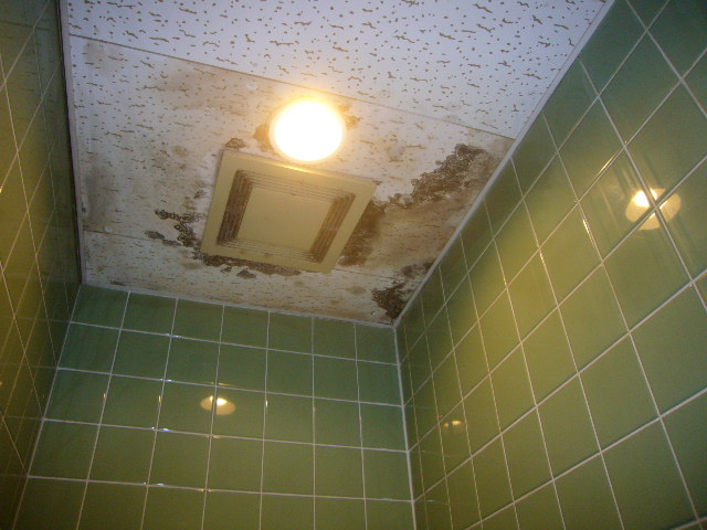 トイレ天井雨漏り