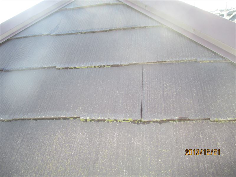 スレート屋根の苔2