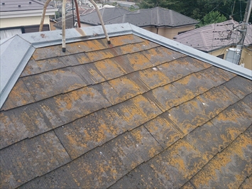 小金井市前原町でコケが付着したスレート屋根を屋根塗装工事で綺麗にします