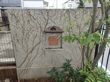 江戸川区中葛西でツタの張った擁壁を再塗装する調査を行いました