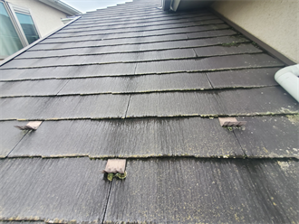 葛飾区水元にて防水性が低下し苔が発生しているスレート屋根の無料点検を実施！屋根塗装工事をご提案致しました！
