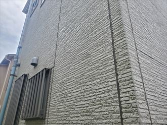 墨田区堤通にて苔が発生しているサイディング外壁のメンテナンスのご相談