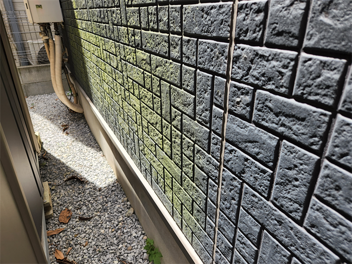 墨田区京島にて苔が発生したサイディング外壁のメンテナンスのご相談をいただき無料点検を実施！外壁塗装工事をご提案！