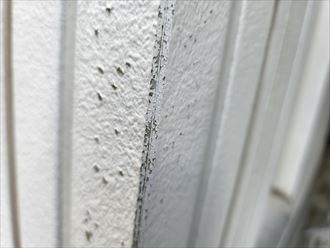 荒川区東日暮里にて塗膜が剥がれたサイディング外壁の調査、外壁塗装工事をご提案