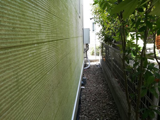外壁点検　藻で変色してしまっている窯業系サイディング外壁
