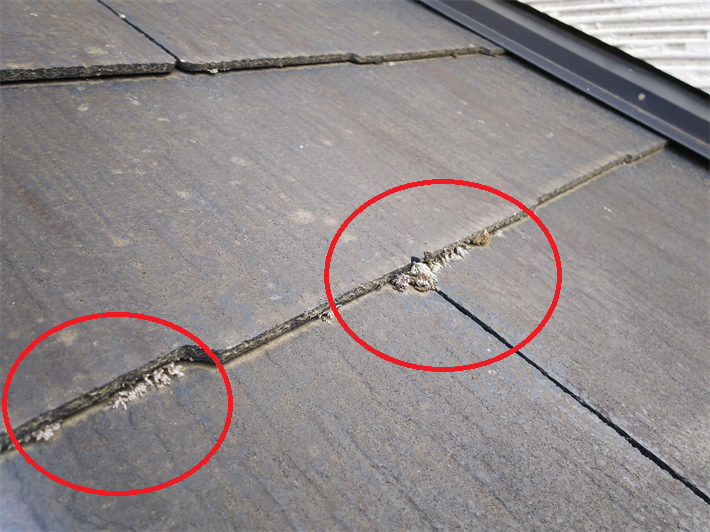 江戸川区東小松川にて防水性の低下により苔が発生しているスレート屋根の無料点検を実施！屋根塗装工事をご提案！