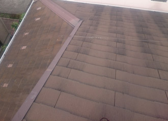 町田市旭町にて屋根調査、苔が多数発生した化粧スレートにはファインパーフェクトベストによる塗装工事をおすすめ