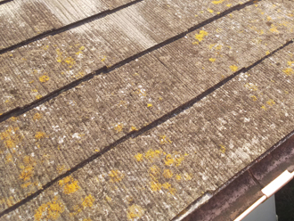 板橋区西台にて化粧スレート屋根の調査、棟板金交換工事とサーモアイSiによる塗装工事をご提案