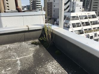 千代田区外神田で屋上防水のご相談、現地調査を行いました