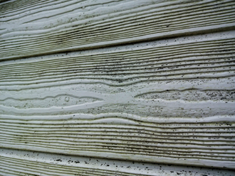 三鷹市新川にて外壁塗装前調査、塗膜が劣化して藻が繁殖した窯業サイディングにナノコンポジットWをおすすめ