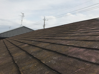 杉並区高円寺南にて屋根塗装工事前の調査、築18年になるスレート屋根は塗膜劣化により広範囲に苔が繁殖していました