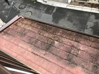 墨田区京島でスレート屋根の汚れの解消のご相談、点検調査にお伺い致しました