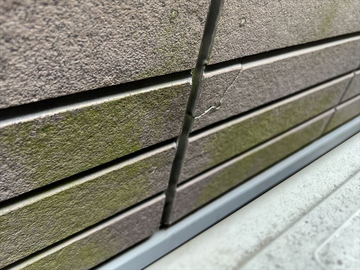 豊島区上池袋にて行った外壁の無料点検！外壁に苔やひび割れがありましたので、外壁塗装工事をご提案(^_^)/