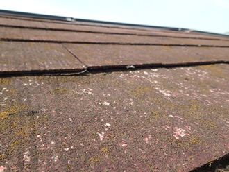 小金井市前原町にて屋根塗装工事の調査、築24年で塗膜が劣化し広範囲に苔が繁殖していました