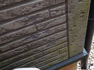 板橋区前野町にて外壁と屋根の調査、塗膜劣化により藻が繁殖した外壁にはナノコンポジットWによる塗装工事をおすすめ