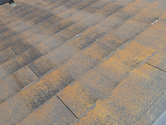 国分寺市日吉町にて屋根塗装工事前の点検調査、築19年目のスレート屋根は塗装塗膜が劣化してしまい苔が広範囲に繁殖していました