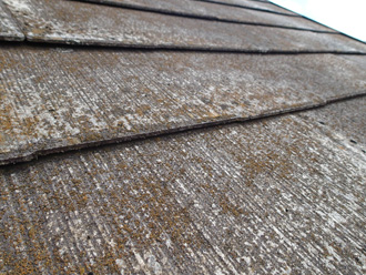 三鷹市下連雀にて屋根・外壁塗装工事のための調査、築25年経過して塗膜が劣化し屋根には苔が広範囲に繁殖しています