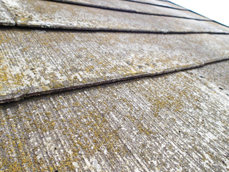 小金井市緑町にて屋根と外壁の塗装工事前点検、25年経過して塗膜が劣化し苔が広範囲に繁殖