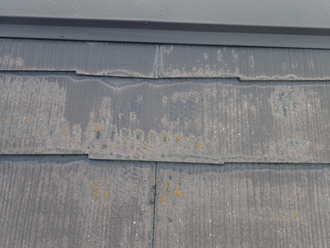 稲城市矢野口の屋根塗装工事前の調査、築21年目になる化粧スレートは塗膜が劣化して苔が発生していました
