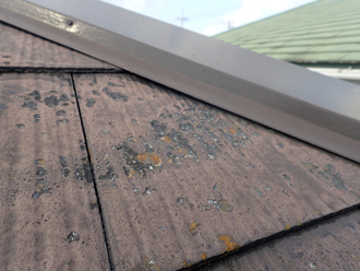小金井市緑町にて屋根メンテナンス調査、築24年目で劣化した化粧スレートにファインパーフェクトベストによる塗装工事をおすすめ