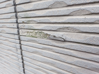 中野区鷺宮にてサイディング外壁調査、塗膜劣化して藻が繁殖した外壁にナノコンポジットWによる塗装工事をご提案