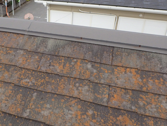 練馬区田柄にてスレート屋根の塗装工事調査、築18年で塗膜が劣化し広範囲に苔が繁殖していました