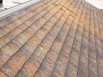 三鷹市野崎にて屋根調査、塗膜劣化によりスレート全体に苔が繁殖、ファインパーフェクトベストによる塗装工事をオススメ