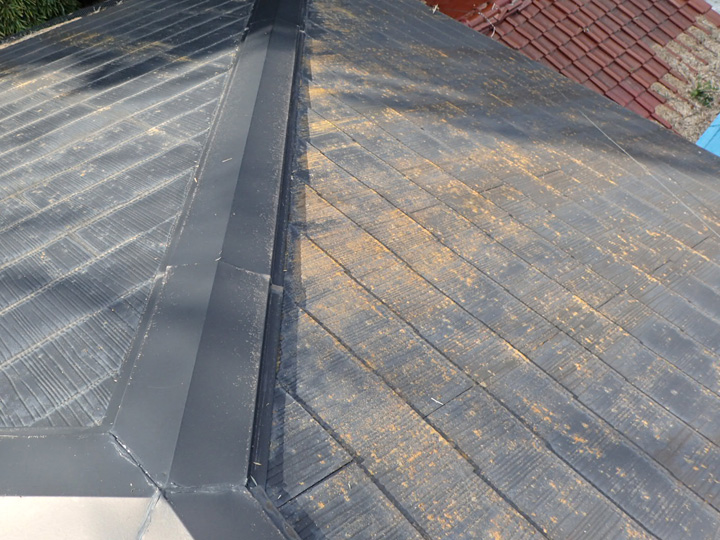 府中市若松町にて屋根塗装前の調査、苔が繁殖した化粧スレートにファインパーフェクトベストによる塗装工事をご提案