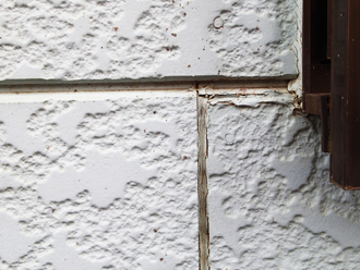 三鷹市中原にて外壁塗装工事前調査、塗膜が劣化して藻が繁殖したサイディング外壁にはパーフェクトトップをおすすめ