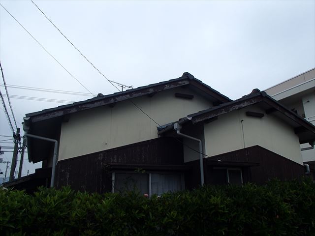 松木の家