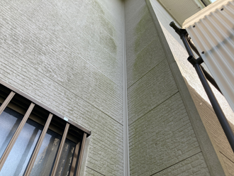 佐倉市大崎台にて外壁塗装のご相談、苔の発生や破風板の塗膜剥がれも確認
