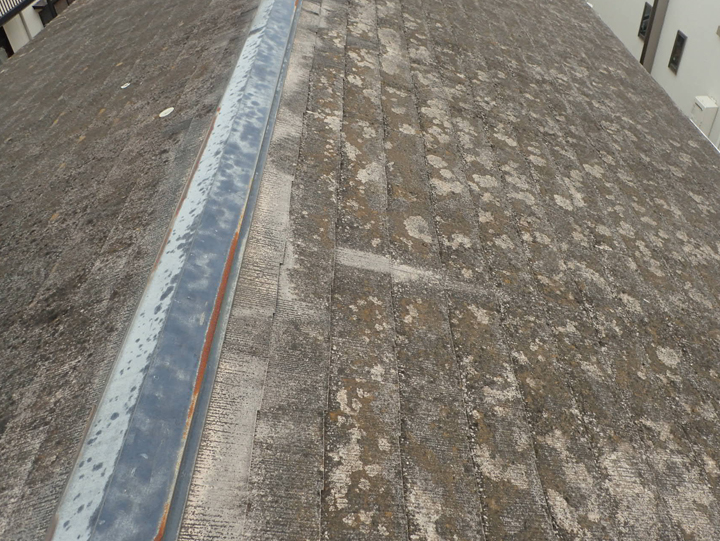 館山市薗にて屋根塗装についてのご相談、屋根の調査を行いました