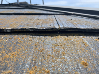 山武郡九十九里町西野にて経年劣化により発生した屋根の苔を調査、屋根塗装によるメンテナンスをご提案