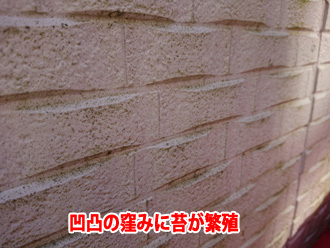 市原市五井東で苔が目立つ窯業系サイディングに外壁塗装をご提案、塗装は見た目だけではなく外壁材の耐久性にも関わります